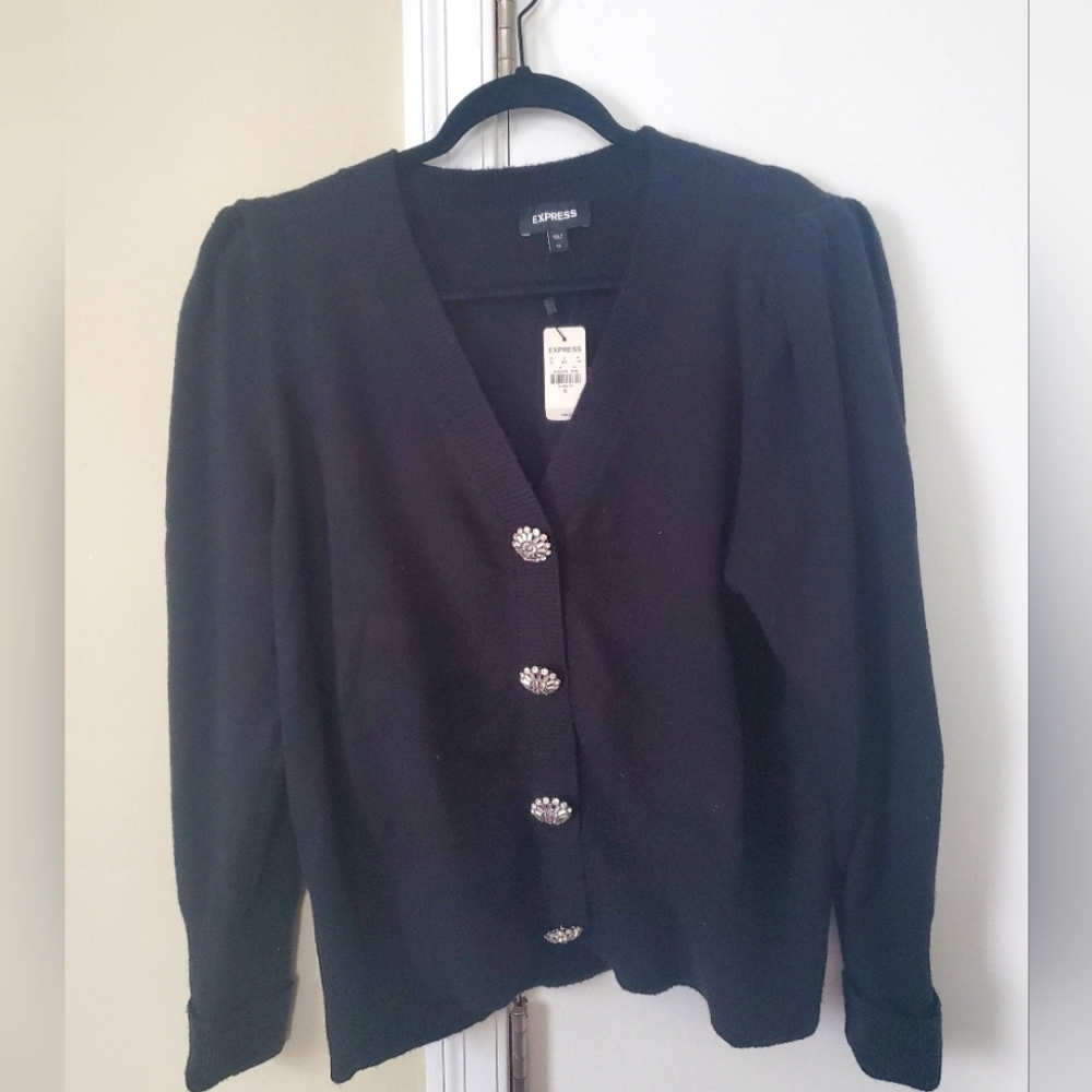 Express holiday sweater